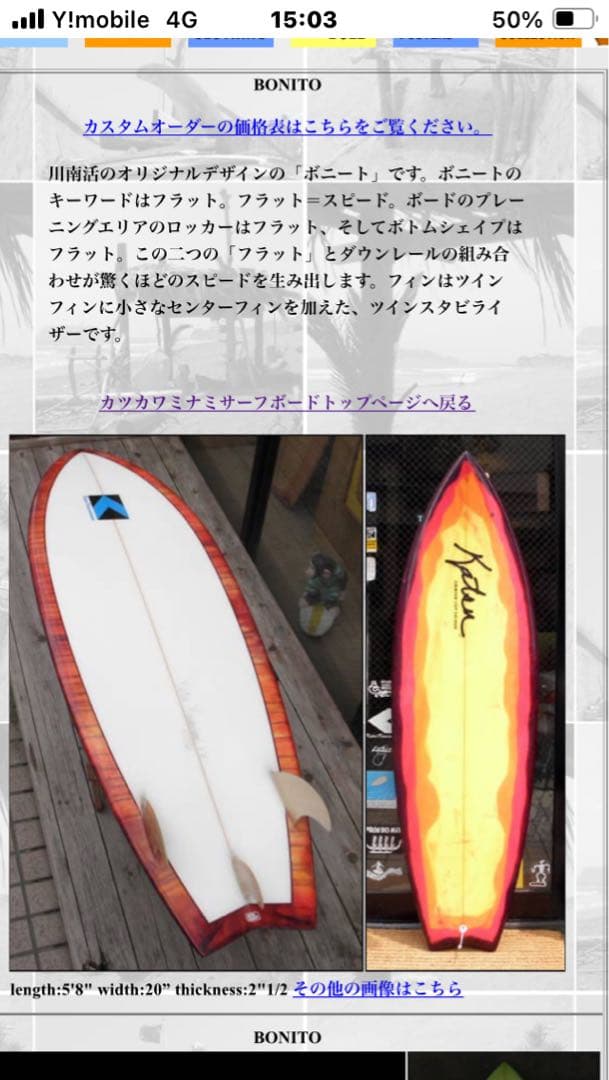 レアKATSU KAWAMINAMI テストボード　BONITOモデル　ツイン