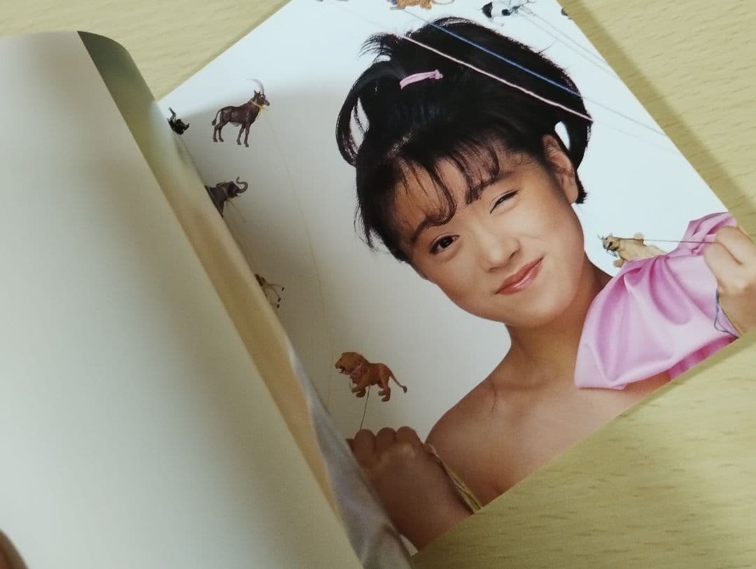 し*ん様 中森明菜『AKINA 』CD4枚組　冊子付