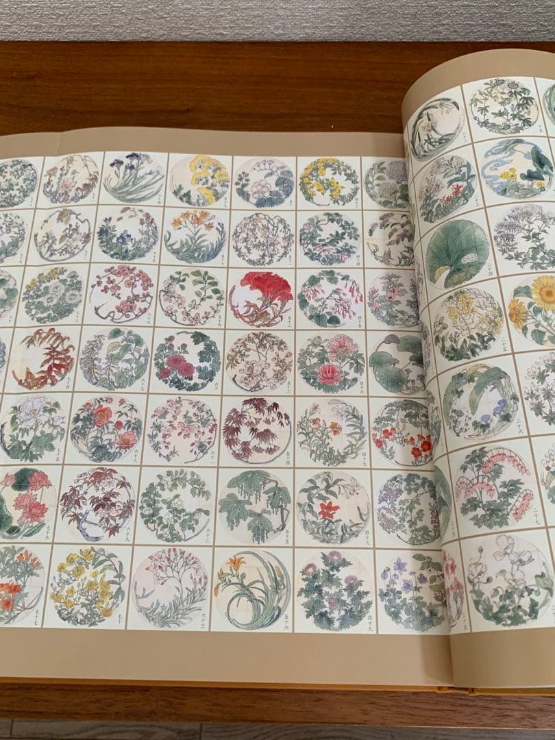 柴田是真 下絵・写生集 東京芸術大学大学美術館所蔵 二重箱で保管