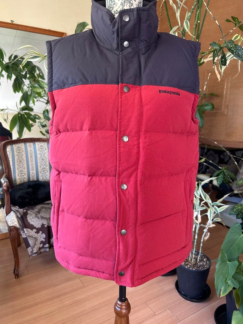 名高き戦士　ページ　patagonia ダウンベスト 赤　紺　レッド