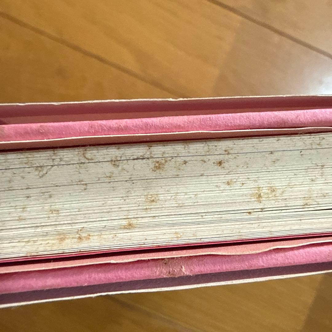 神々の詩 高良留美子