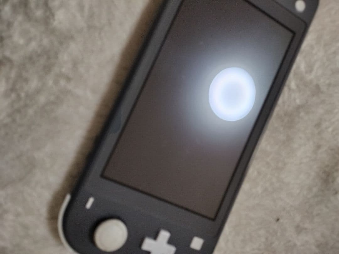 ジャンクNintendo Switch Lite グレー 本体