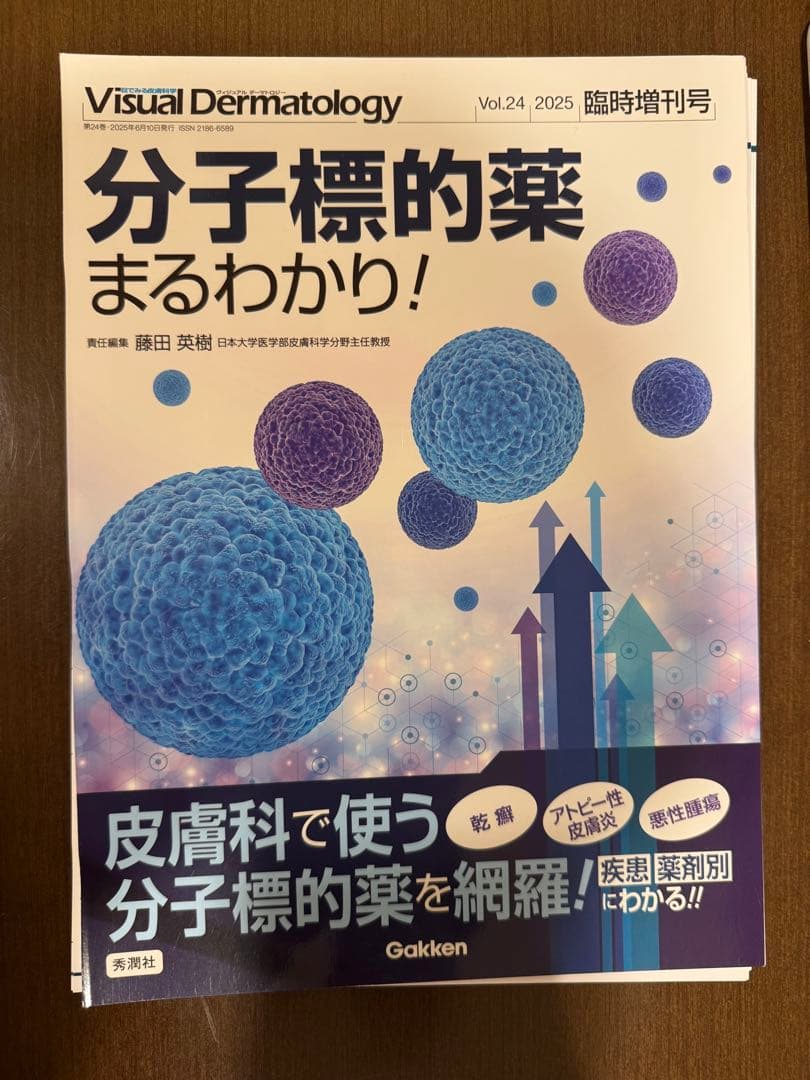 [断裁済] Visual Dermatology 2025年 臨時増刊号