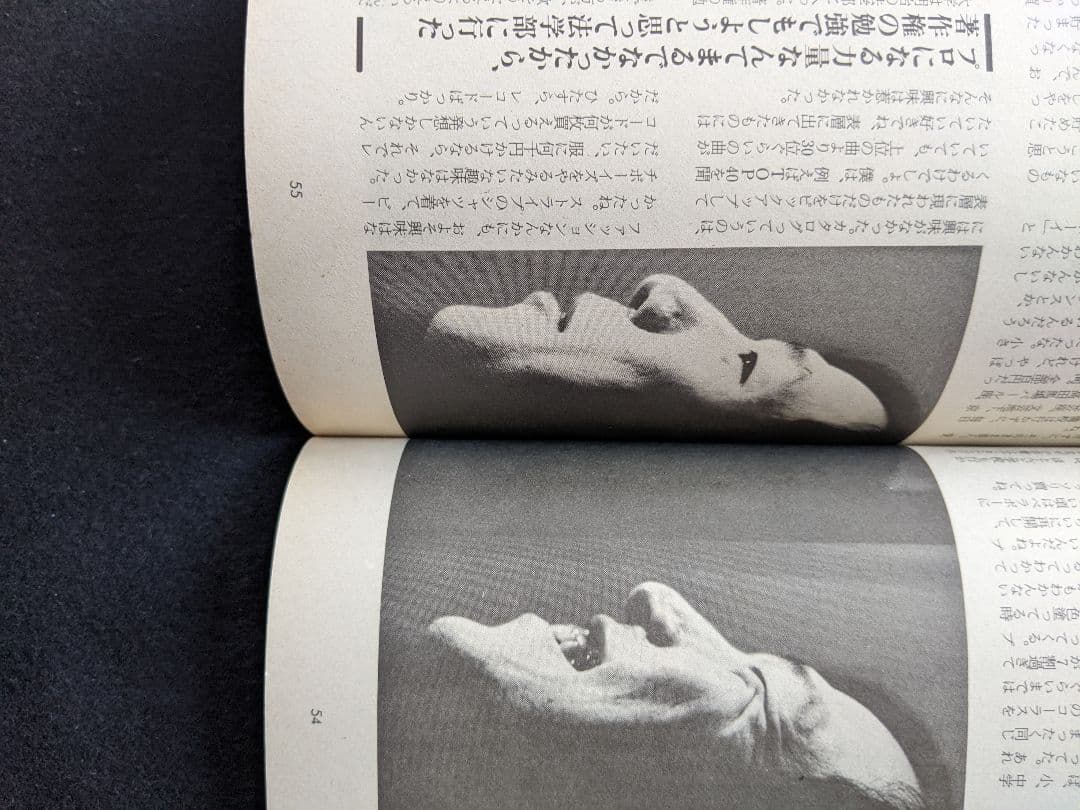 宝島　1982年5月号　山下達郎　シュガーベイブ　伊藤蘭　加藤和彦　清水信之