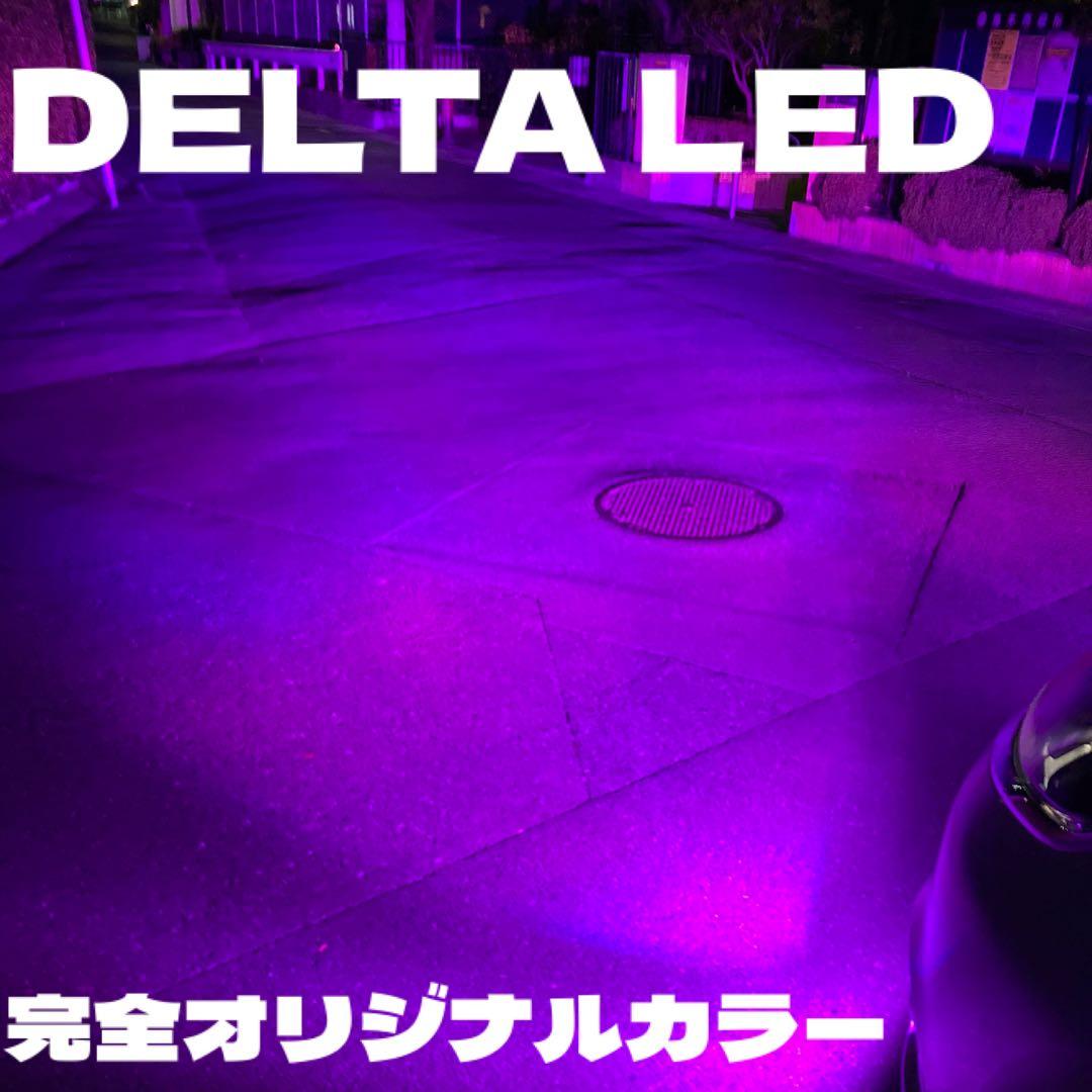 蛇惡☠︎ 　パープル　シリーズ9 カオス