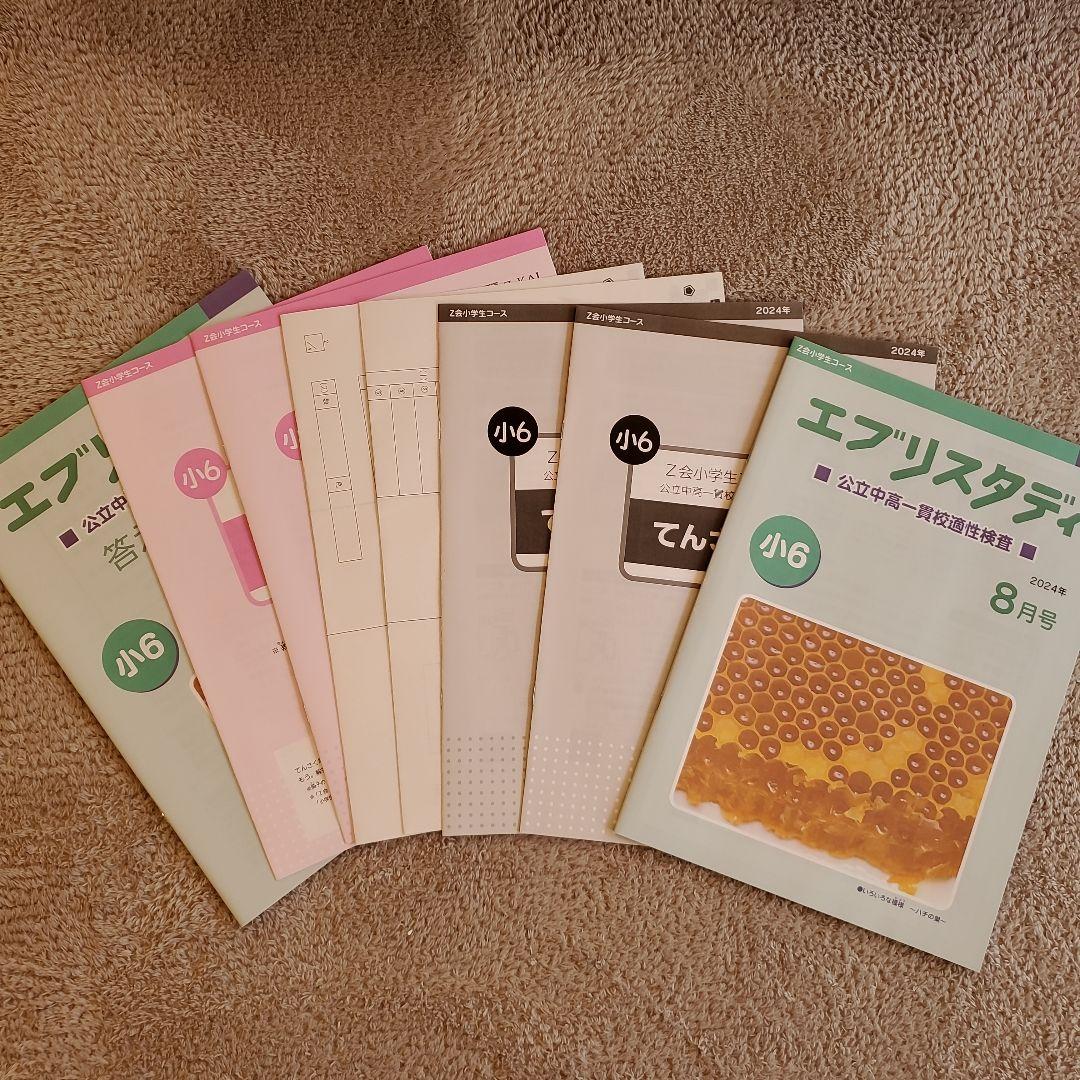 公立中高一貫校 適性検査対策 小6 エブリスタディ Z会