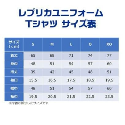 美品　なでしこリーグ　オルカ鴨川FC　鯱　レプリカユニフォーム