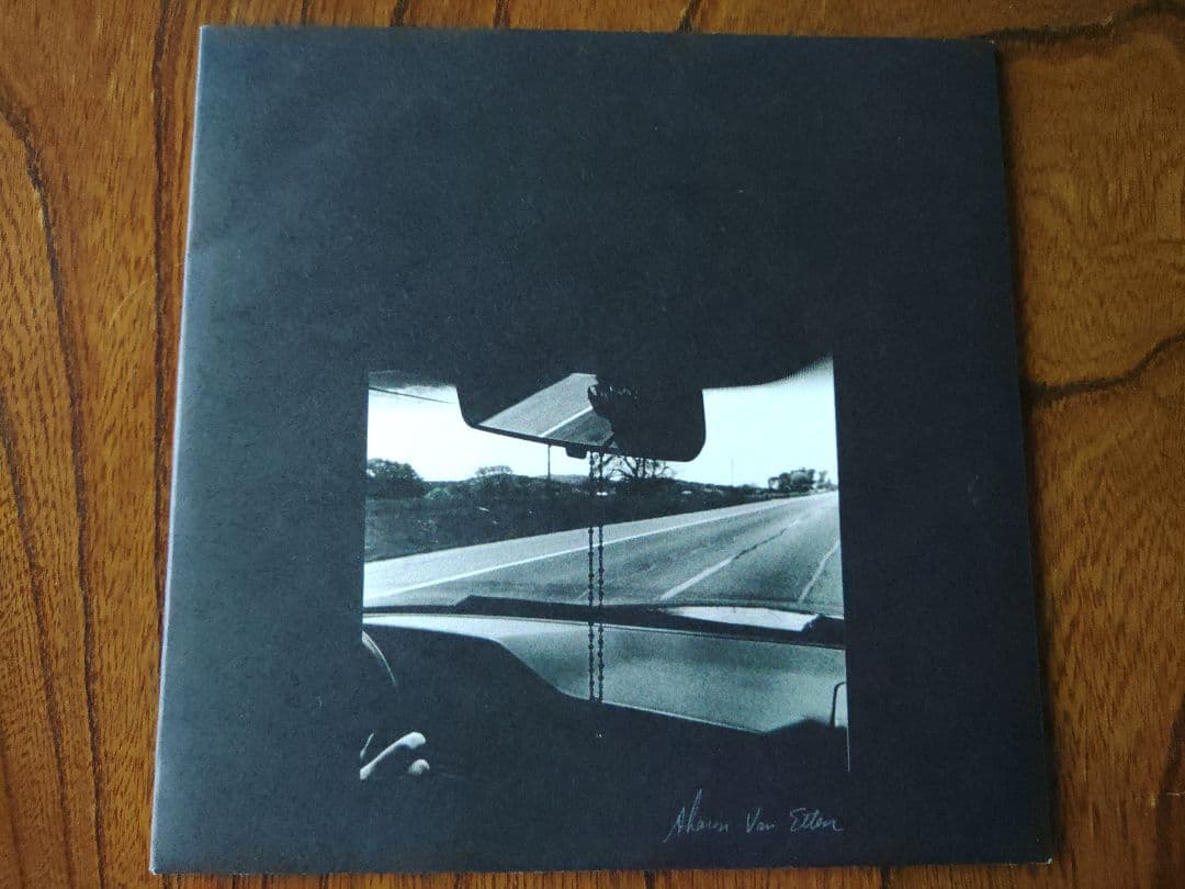 Sharon Van Etten シャロン・ヴァン・エッテン 7インチ レコード