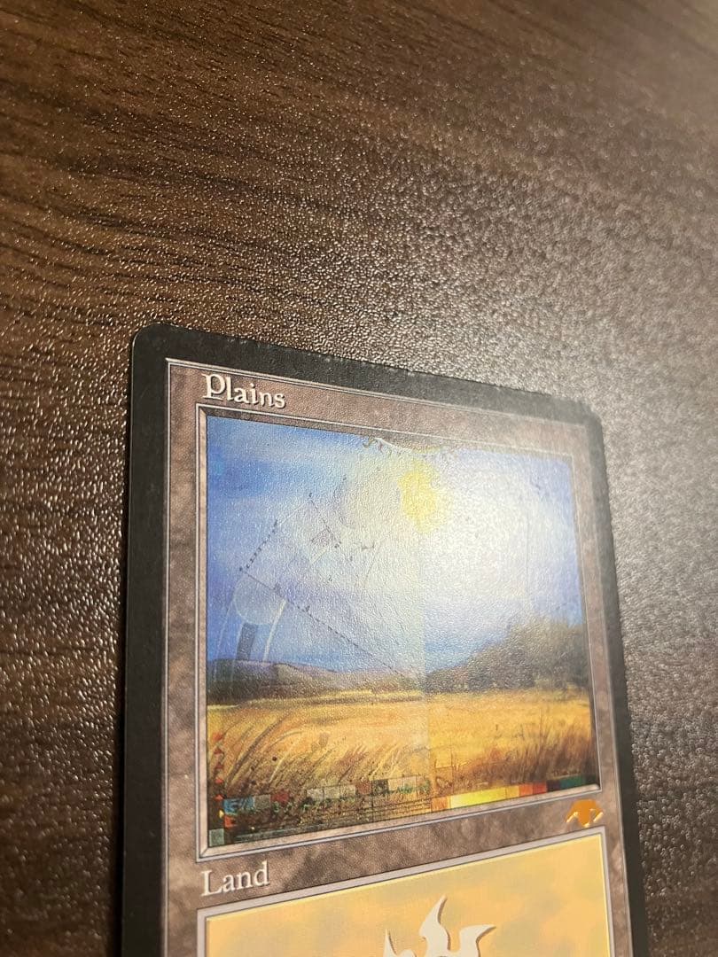d*2様 GURUランド グルランド Plains 平地 プロモ