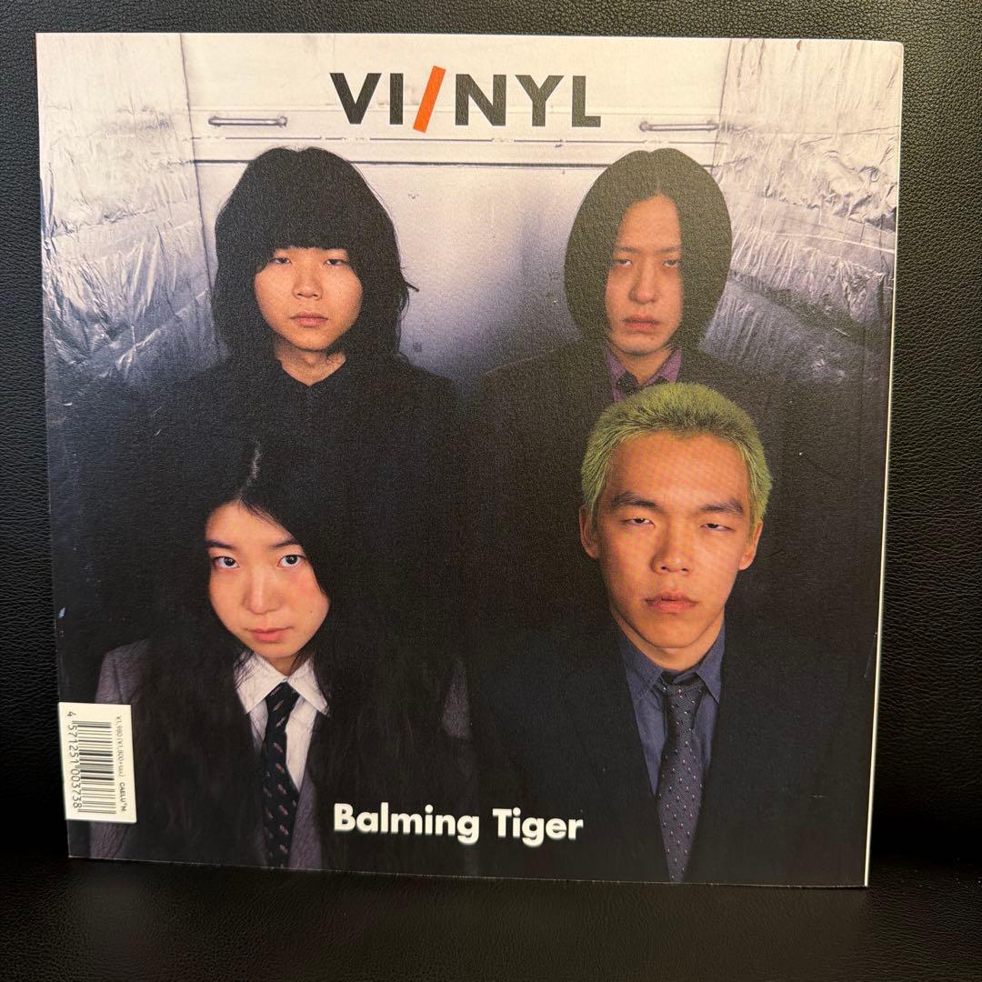 VI/NYL(バイ&ナル) #023 HANA 雑誌