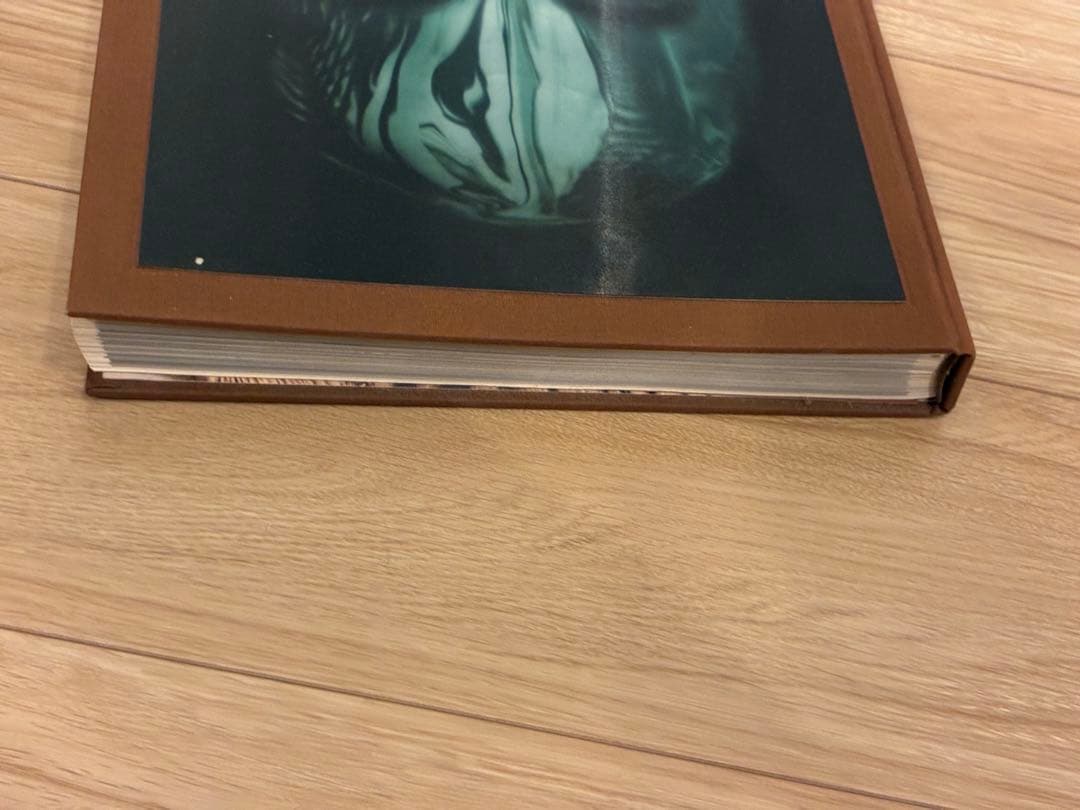 ALEXANDER McQUEEN SAVAGE BEAUTY 洋書