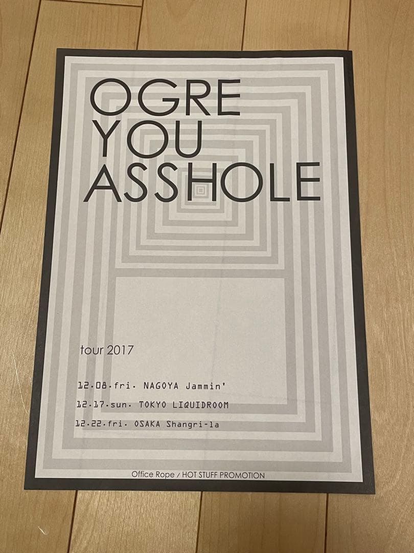 OGRE YOU ASSHOLE ハンドルを放す前に レコード LP