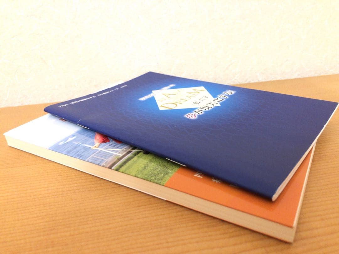 フラクタル心理学　2冊セット
