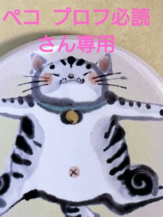 ペコ プロフ必読さん専用
