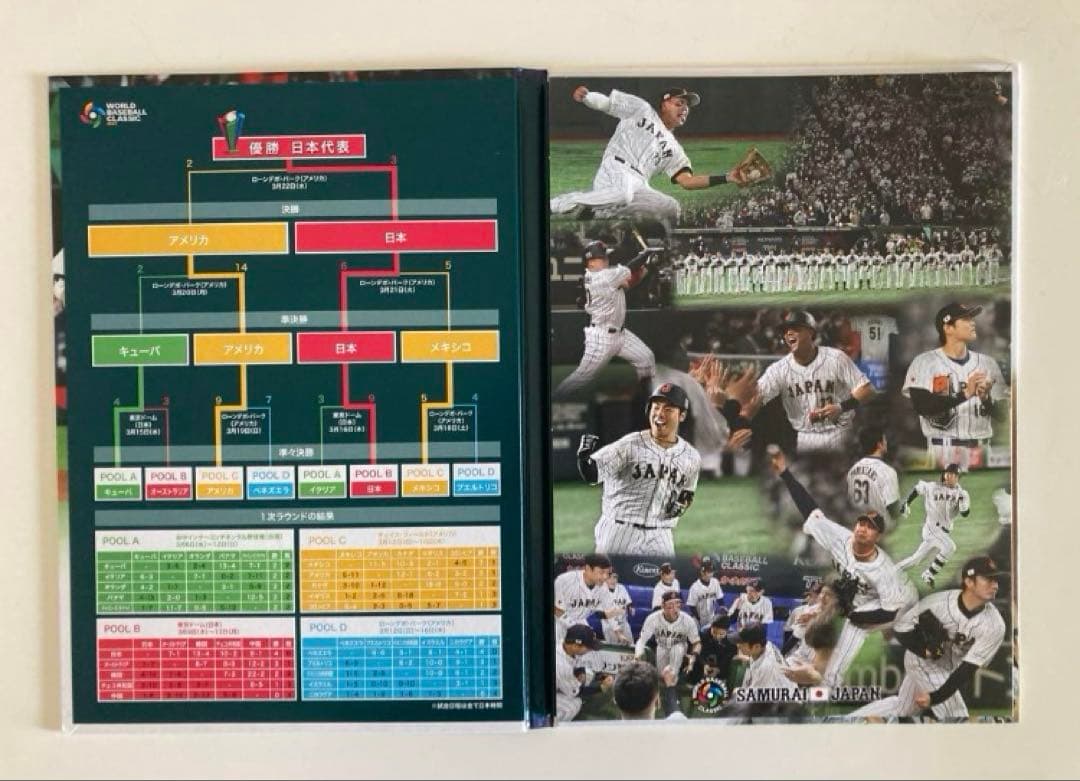 大谷翔平 MVP／WBC優勝／ホームラン プレミアムフレーム