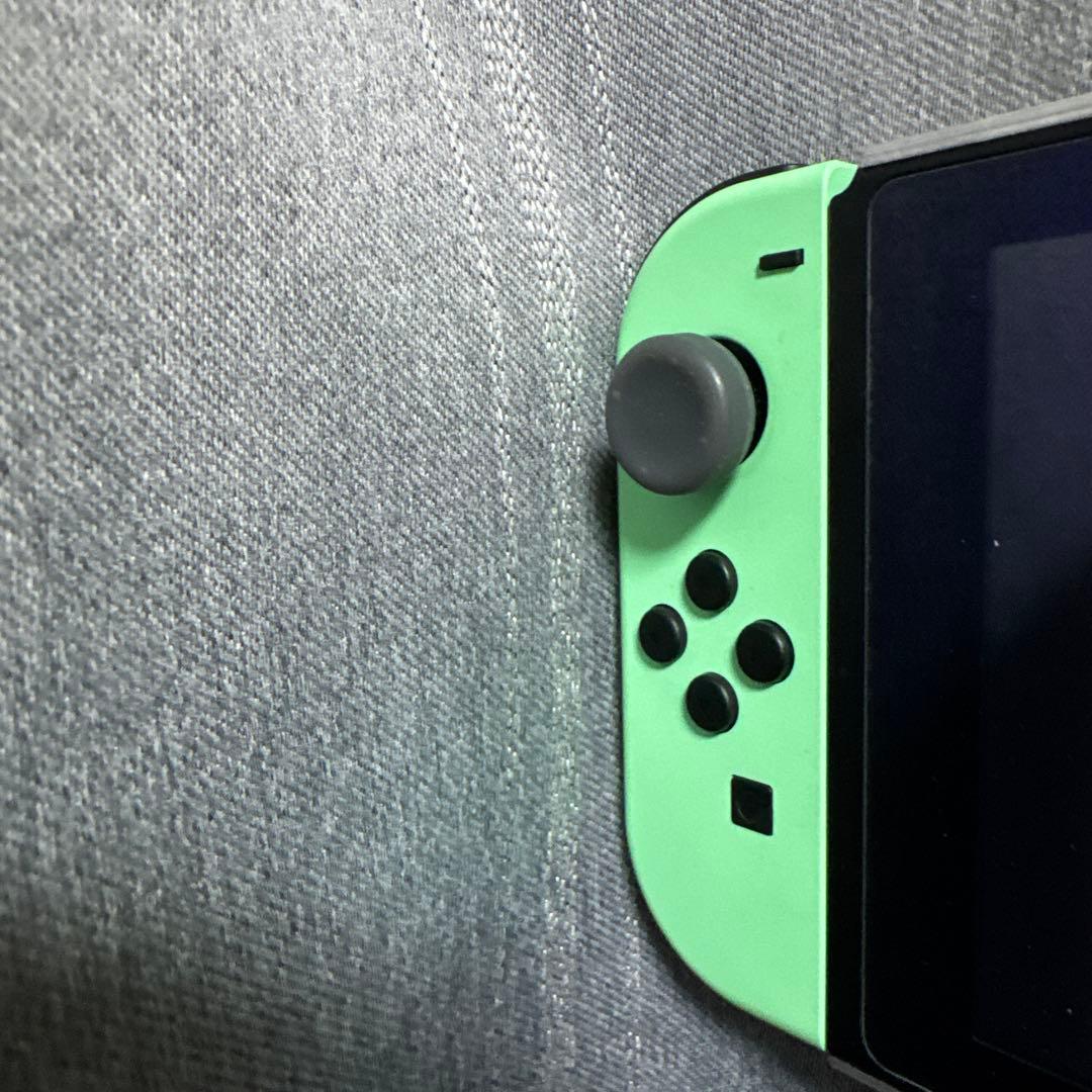 ​Switch あつまれどうぶつの森セット 64GB SD ケース　バッグ　攻略