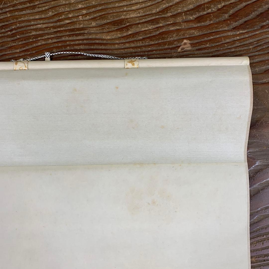 美品 掛け軸 東大寺 上野道善作 若松画賛「青松多寿色」共箱 禅語 縁起物