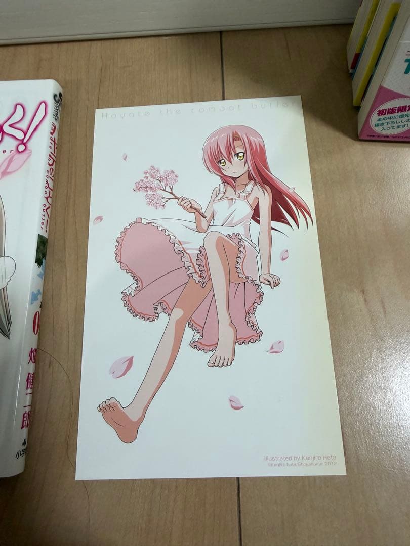 ＊ハヤテのごとく! 全巻セット+α