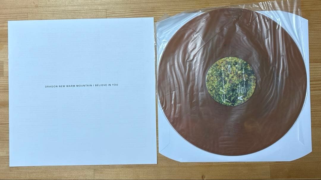Big Thief 5thアルバム 2LP (限定ランダムカラーvinyl)