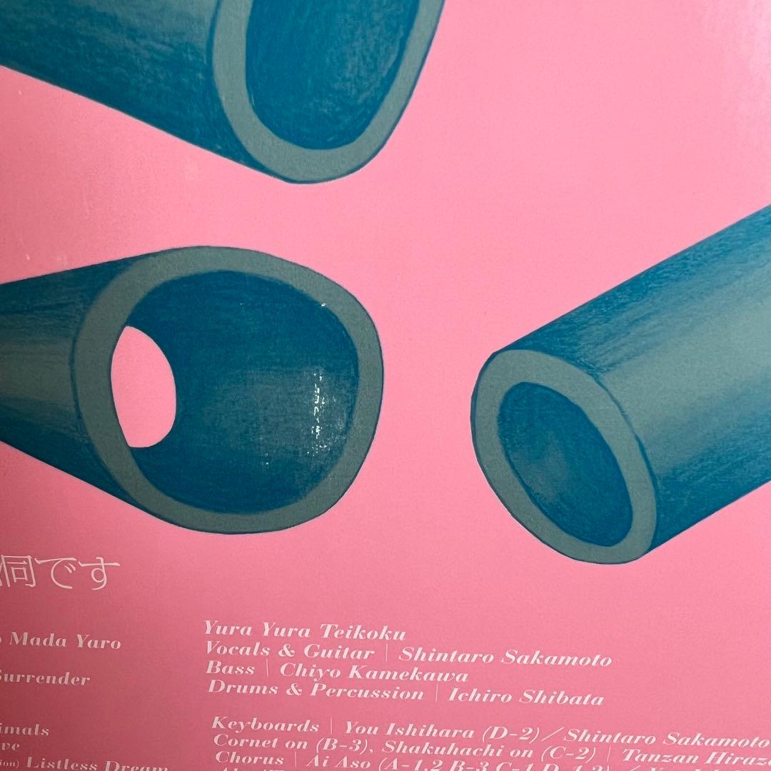 ゆらゆら帝国 空洞です Hollow Me 2LP レコード