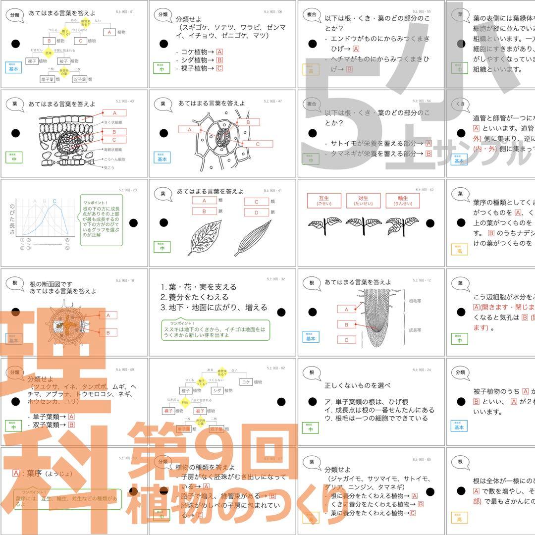 中学受験【5年上 社会・理科 6-19回】組分けテスト対策 予習シリーズ