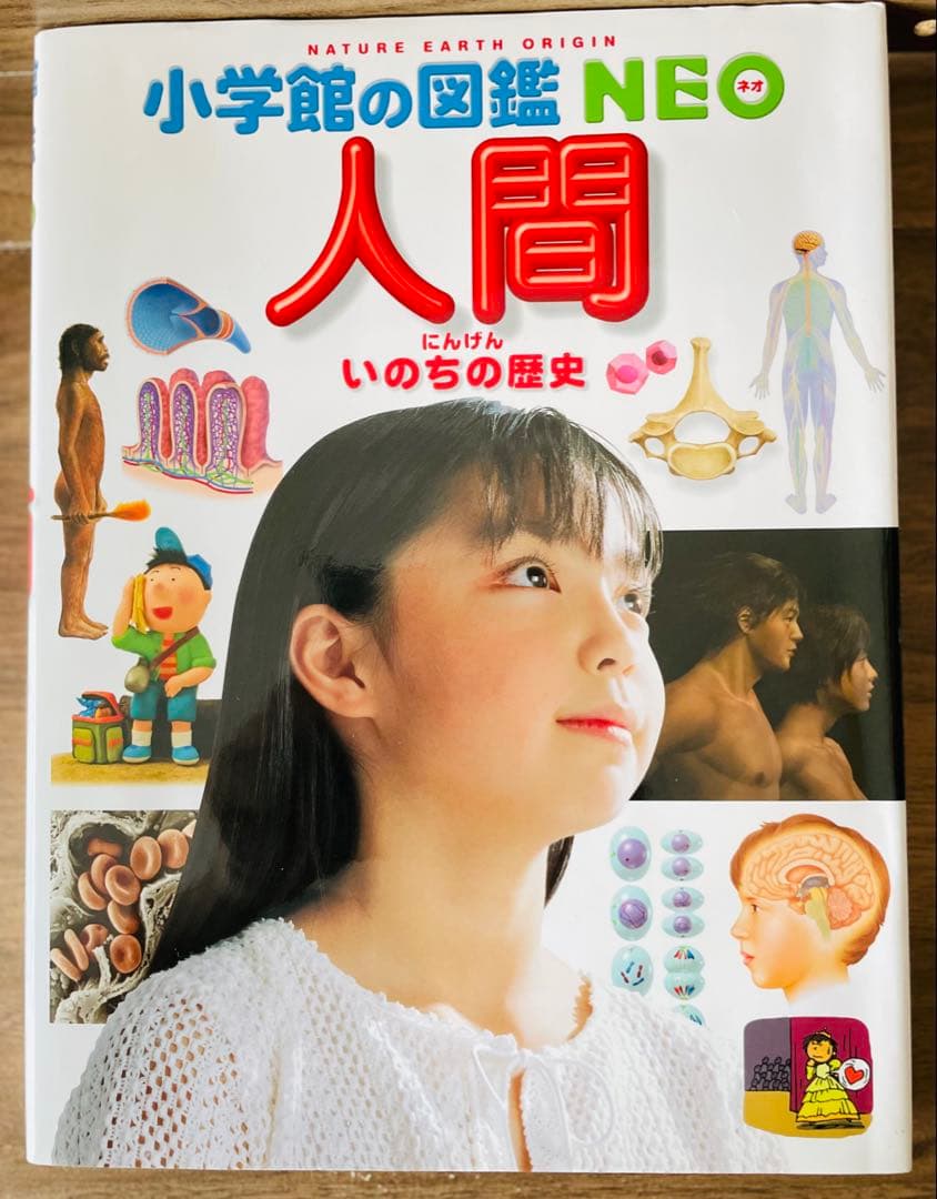 小学館の図鑑NEO　10冊セット