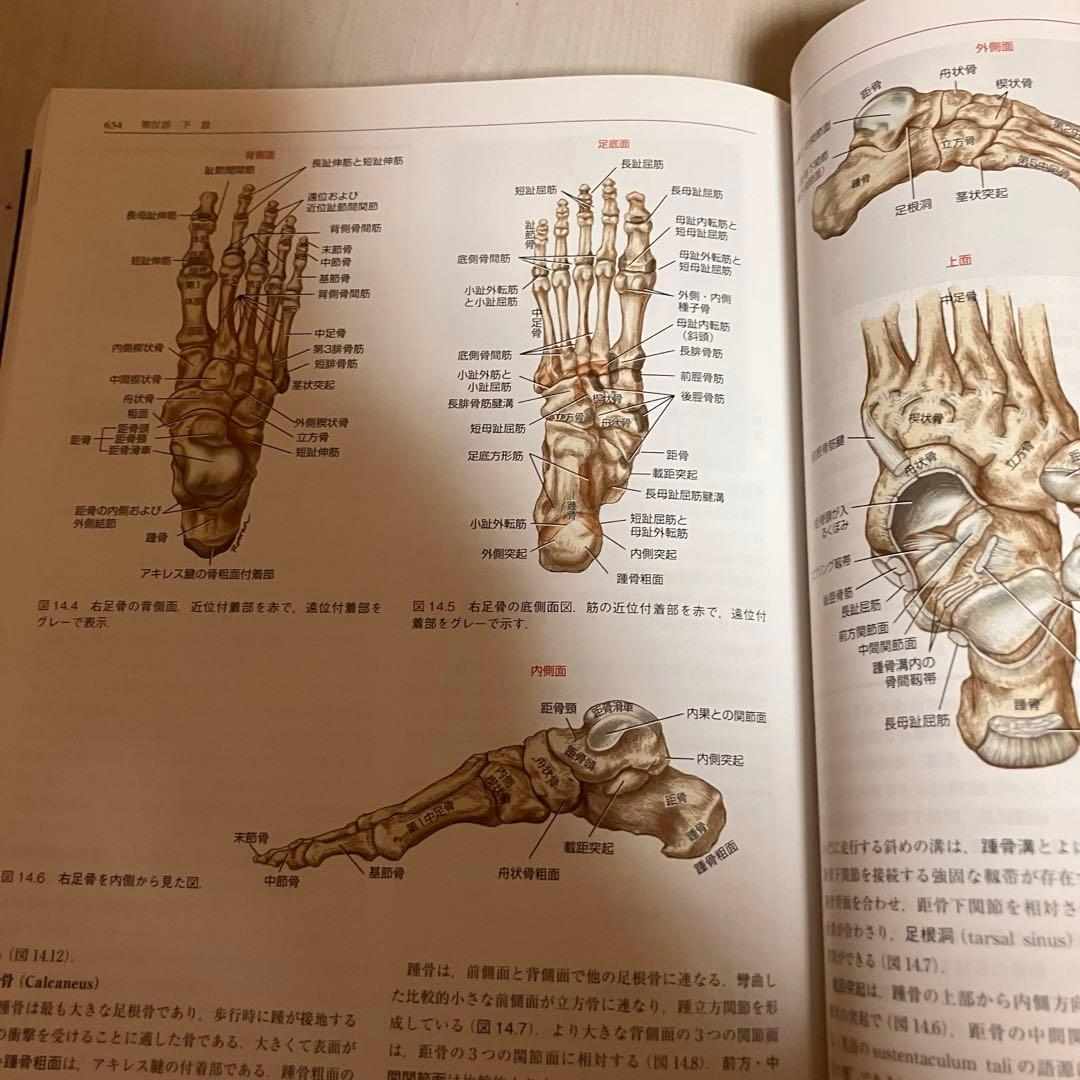 【送料込・美品】筋骨格系のキネシオロジー 第3版 / 医歯薬出版株式会社