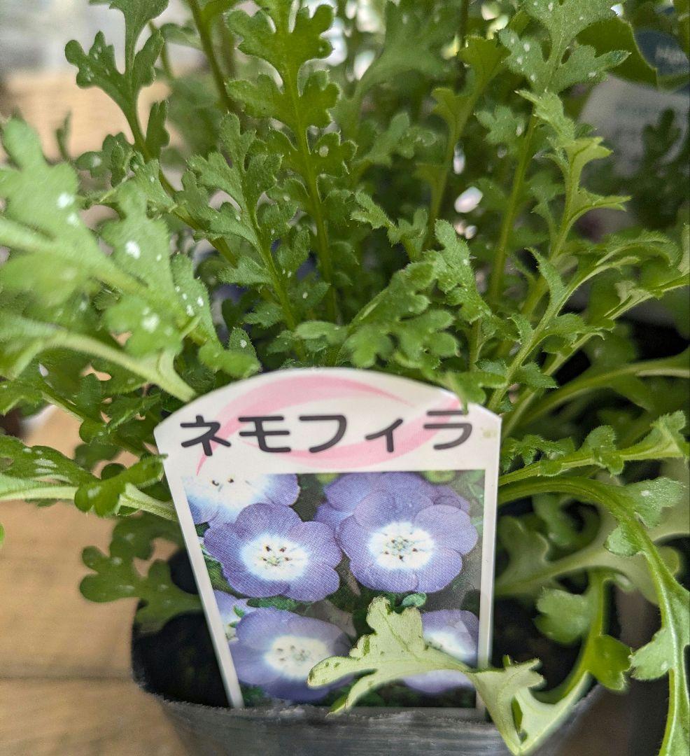 ♡ソバン様♡