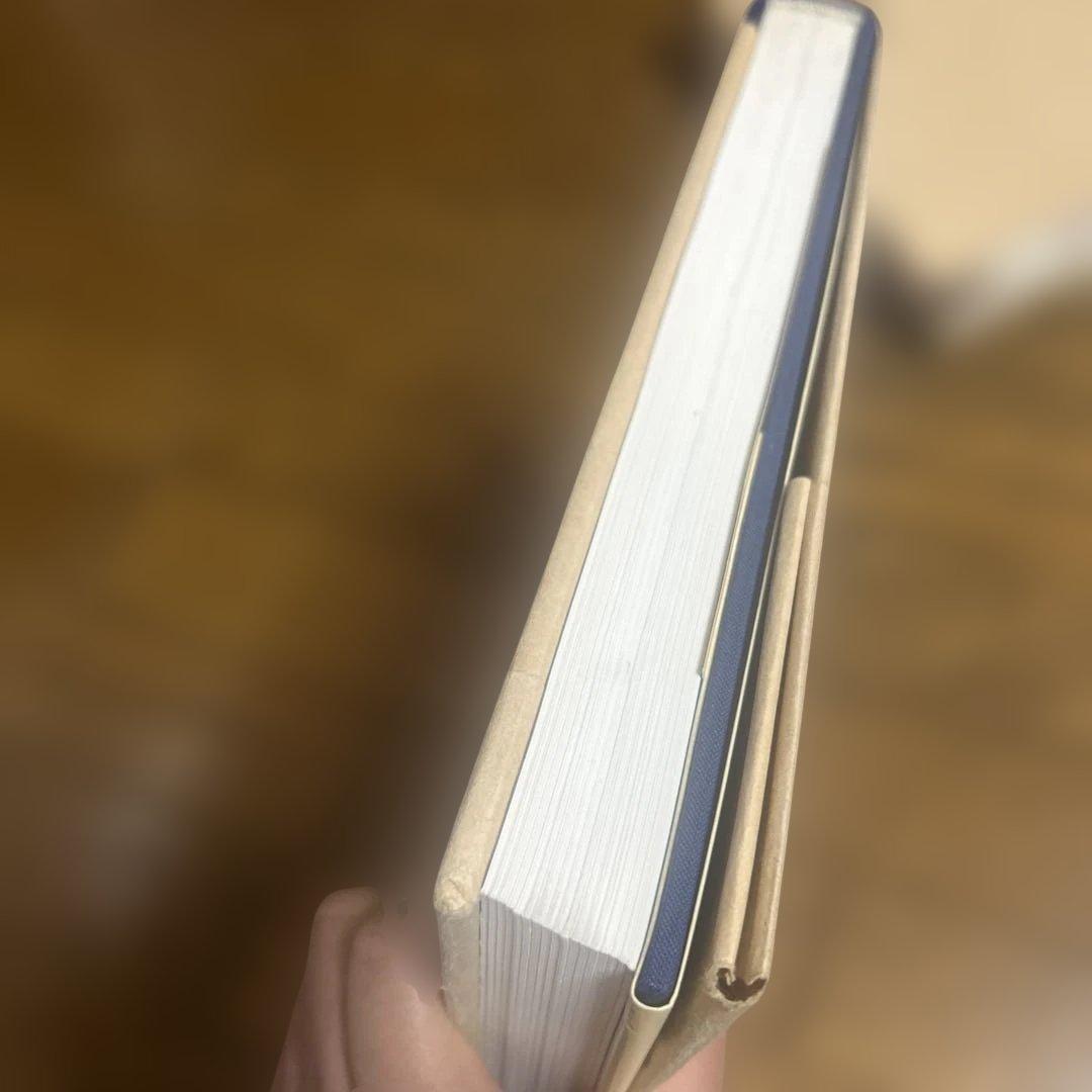 Wiener Werkstätte Design in Vienna洋書