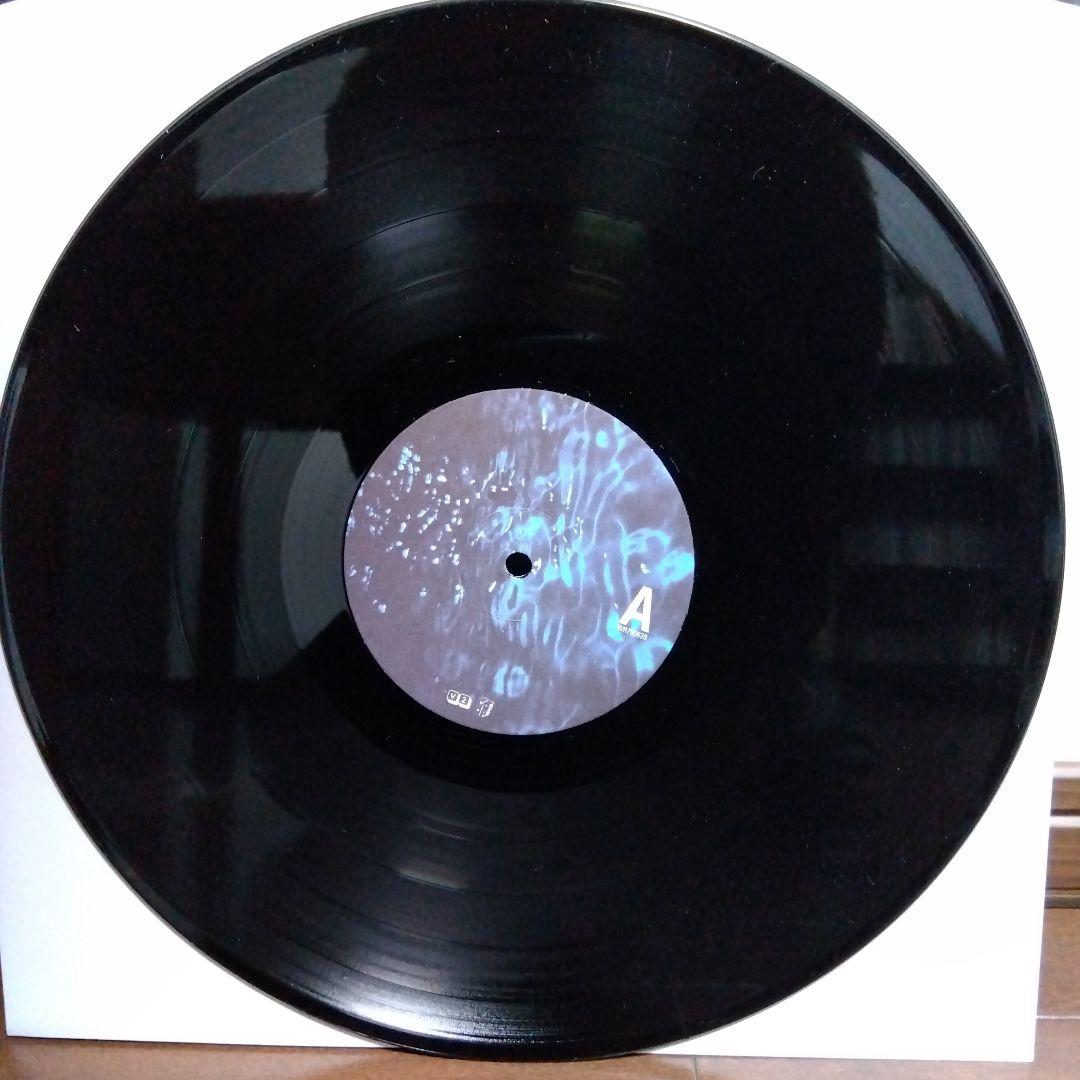 BLOOD RED SHOES Fire Like This LPレコード