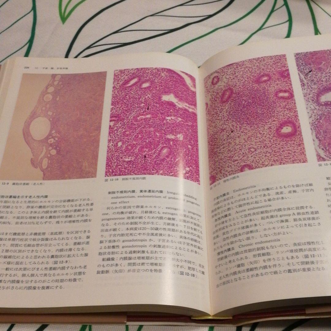 組織病理アトラス