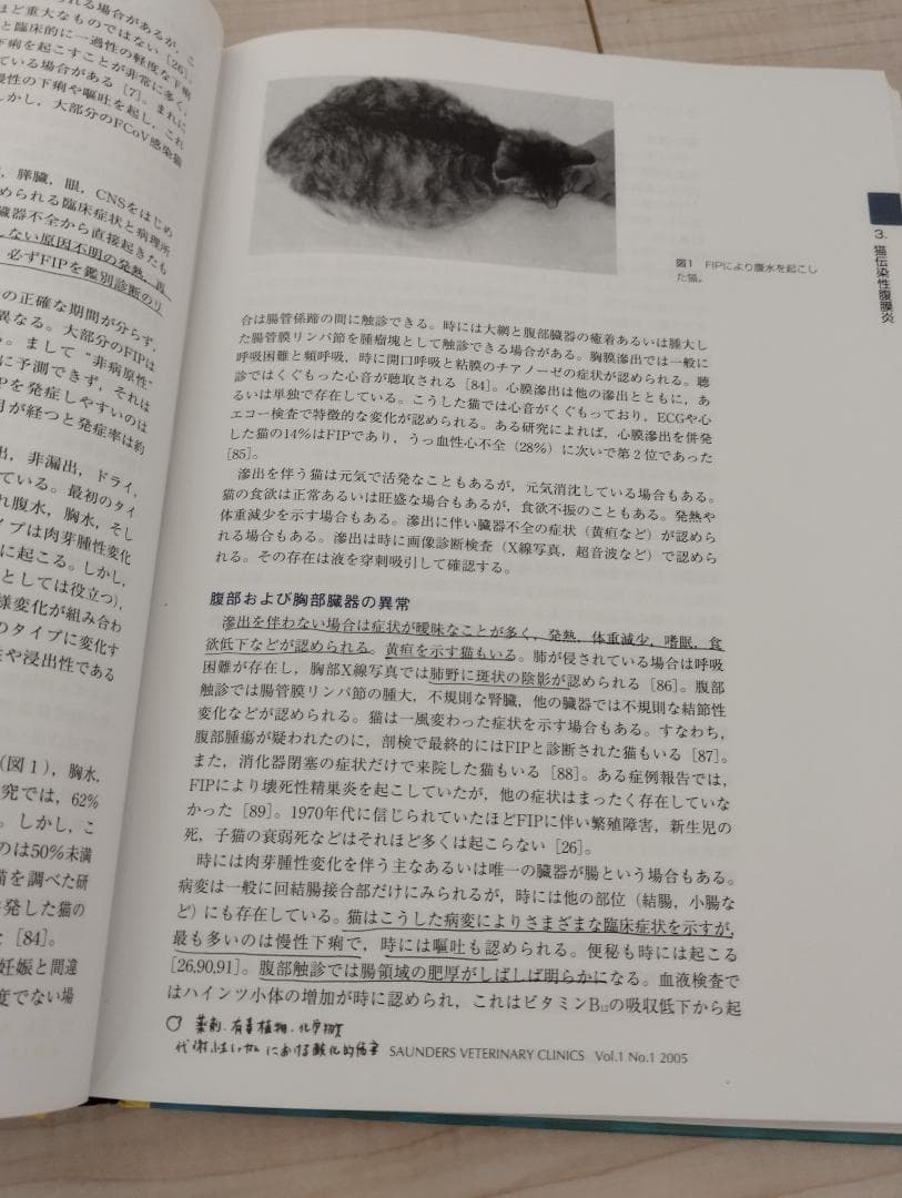 最新　猫の臨床医学