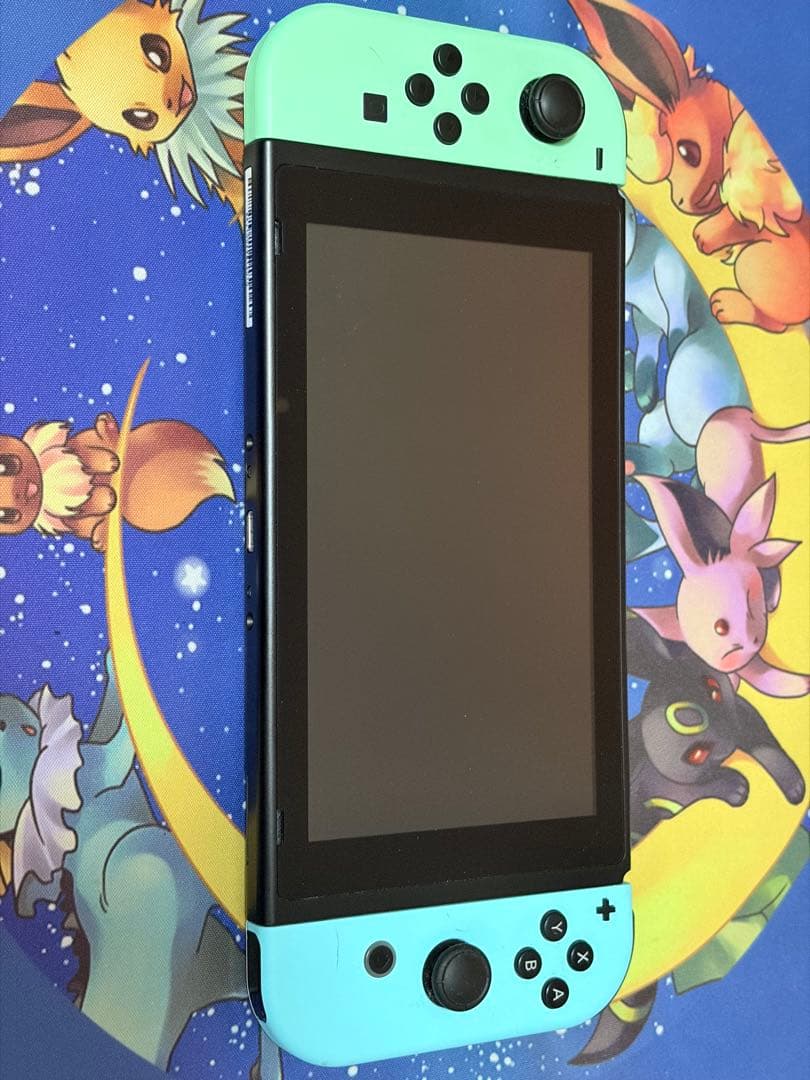 Nintendo Switch あつまれ どうぶつの森 特別デザイン　本体