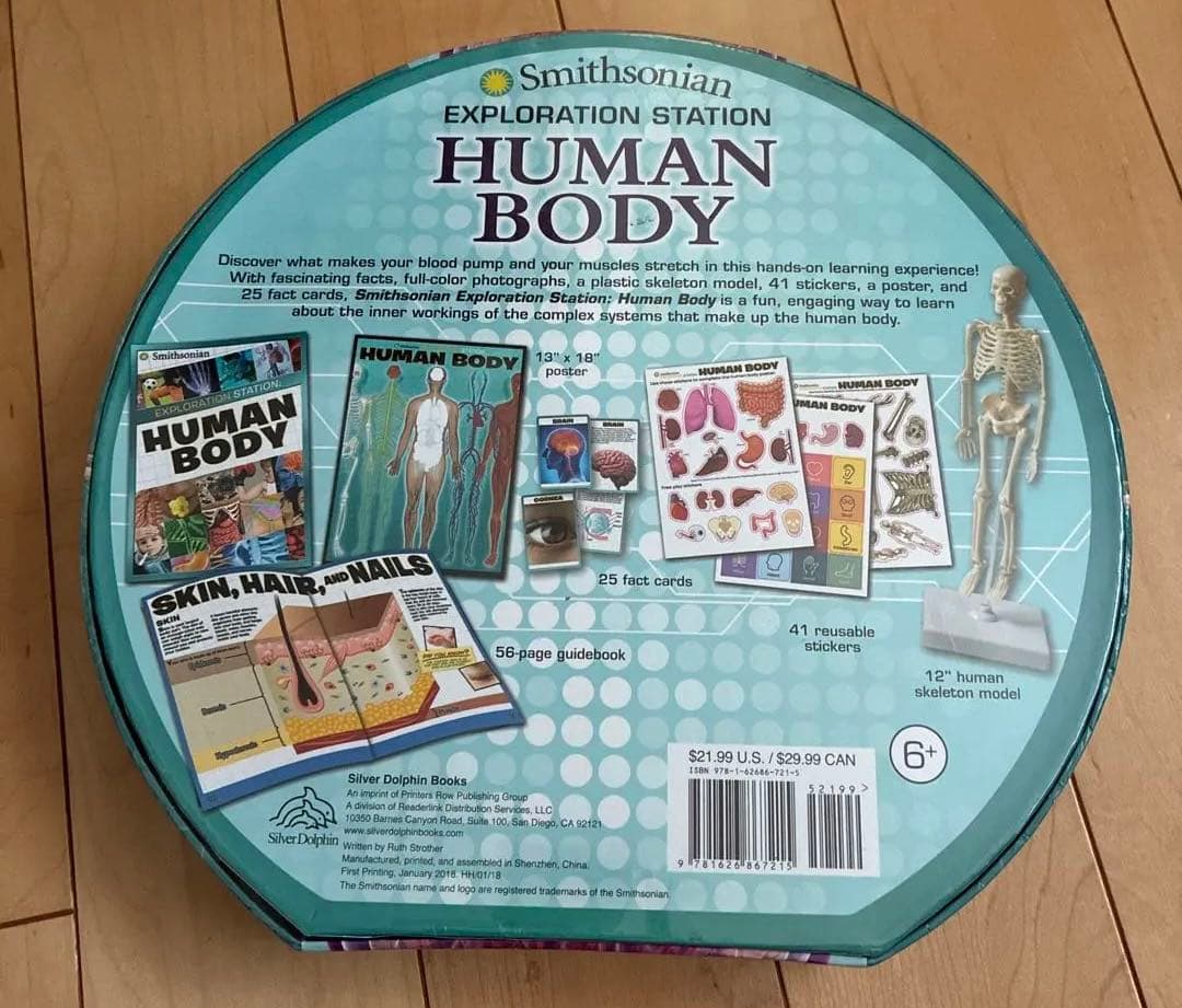 Human Body サイエンス 人体 キット 英語