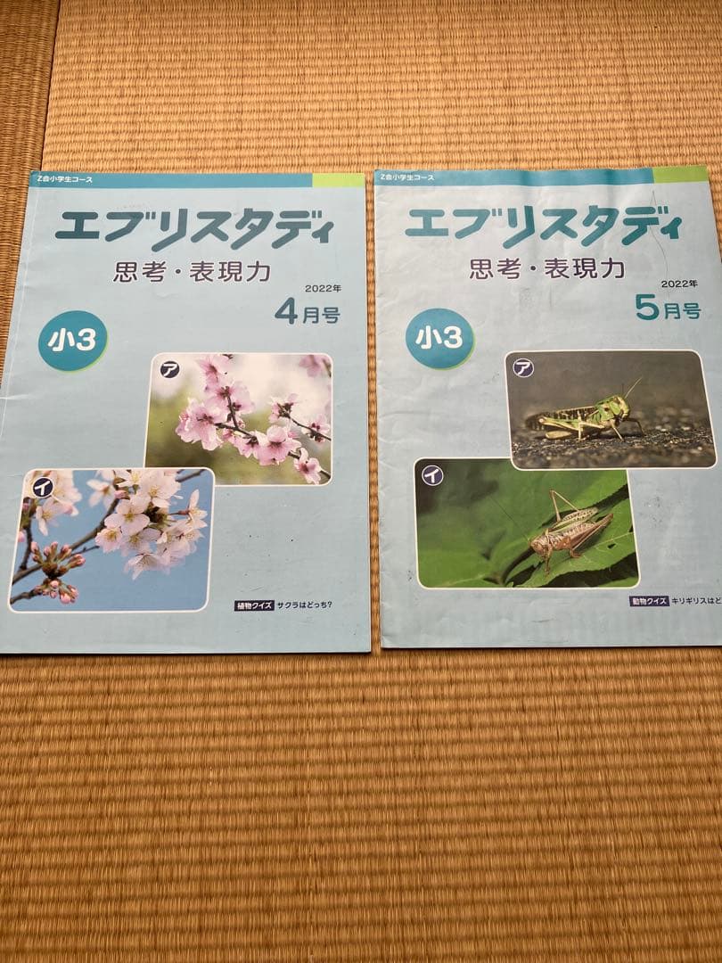 エプリスタディ 小3 思考表現力付き