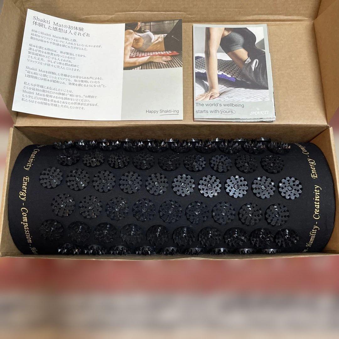 専用　 Shakti シャクティー　枕　正規品