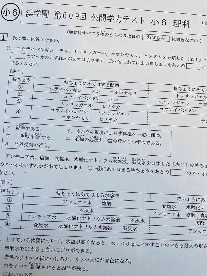 浜学園 公開学力テスト 2023年、2024年度 小6 2年分 4科目