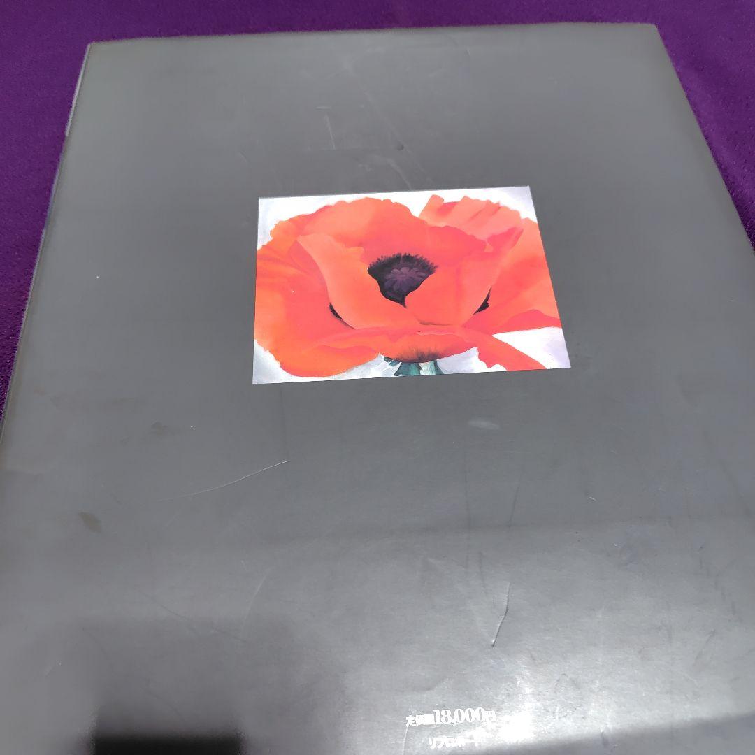 大型本 オキーフ画集 花
