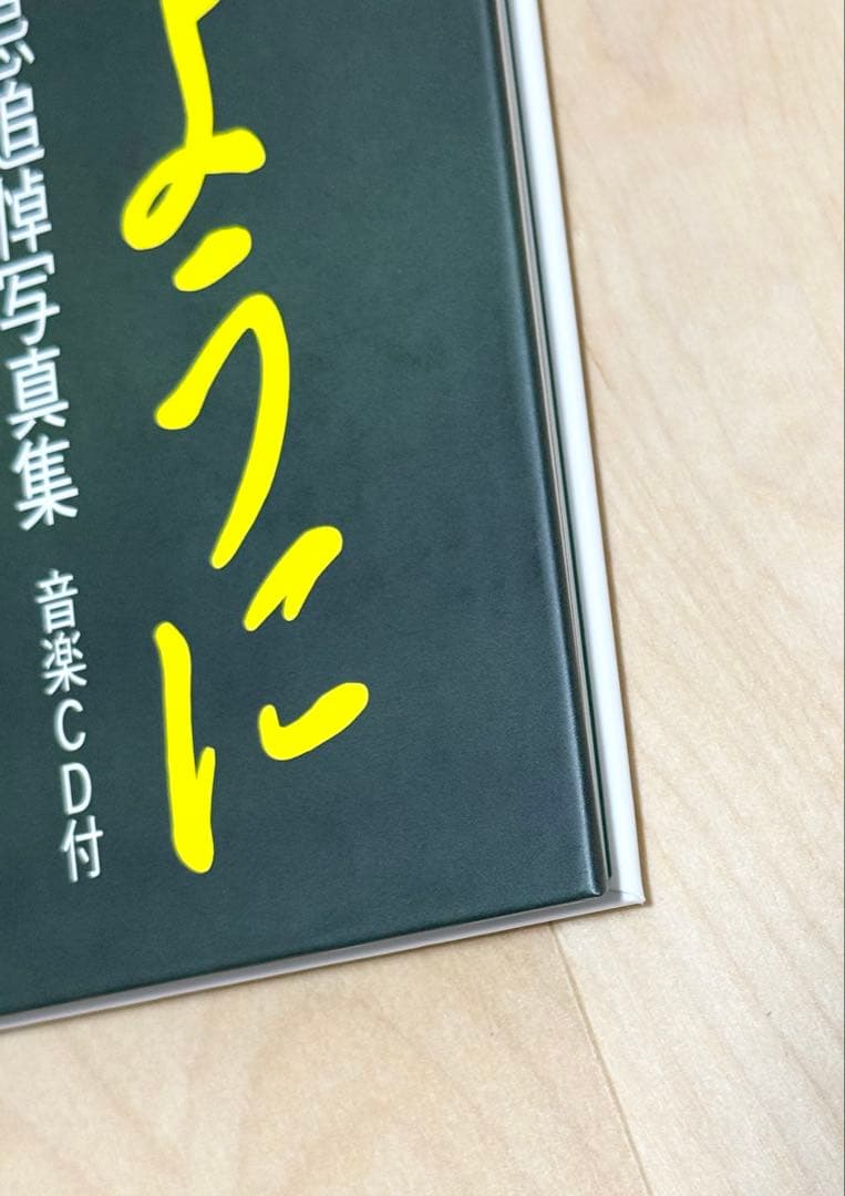 サイレンススズカ　天馬のように　一周忌追悼写真集