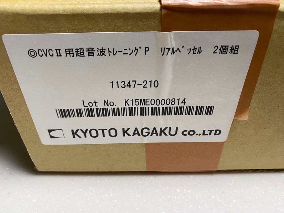 【医学生•研修医】超音波ガイド下穿刺　トレーニングパッド✖️2セット　未使用