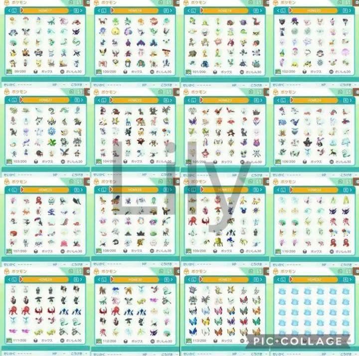 【ポケモン】ウルトラサン ケース付き　各種配信 理想メタモン 道具完備