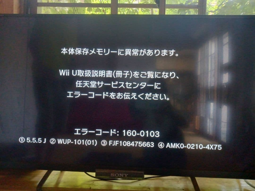 Nintendo Switch WiiU