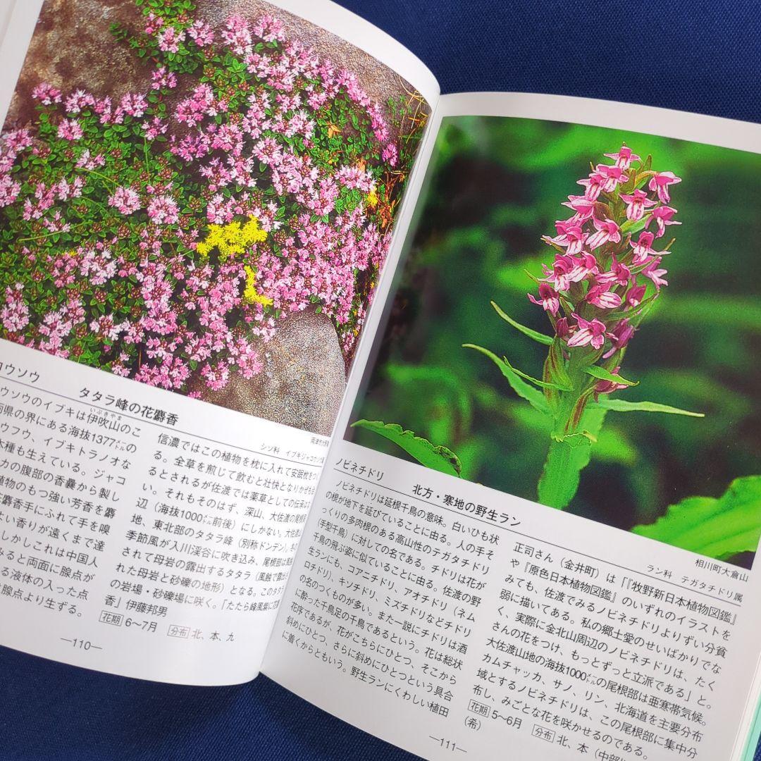佐渡の花 携帯版 改訂版（植物の種類と色別の花の情報ガイドブック）オールカラー