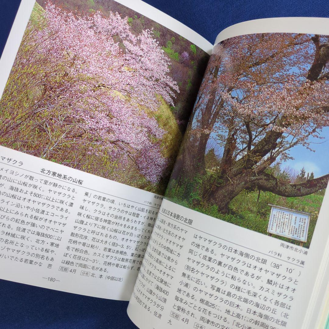 佐渡の花 携帯版 改訂版（植物の種類と色別の花の情報ガイドブック）オールカラー