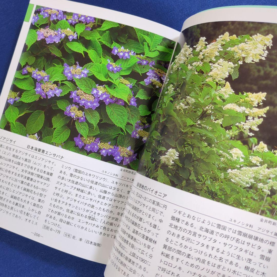 佐渡の花 携帯版 改訂版（植物の種類と色別の花の情報ガイドブック）オールカラー