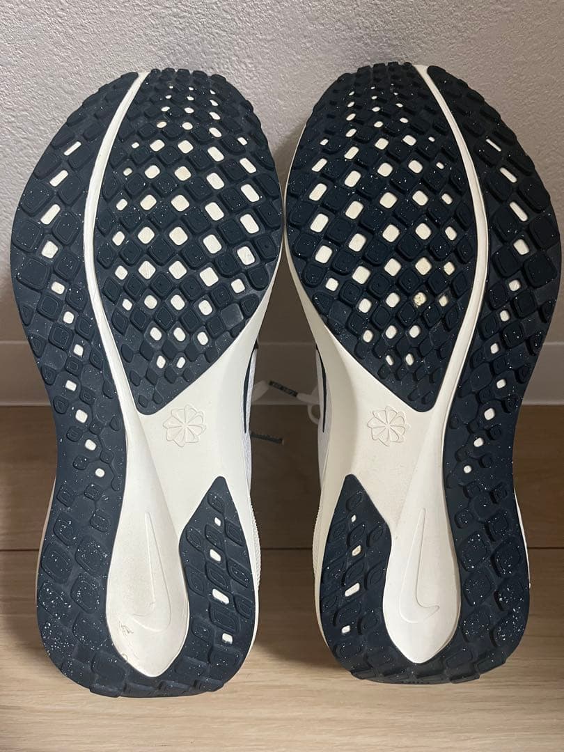 ナイキ　ズームペガサス　NIKE PEGASUS 41 PREQUEL 25