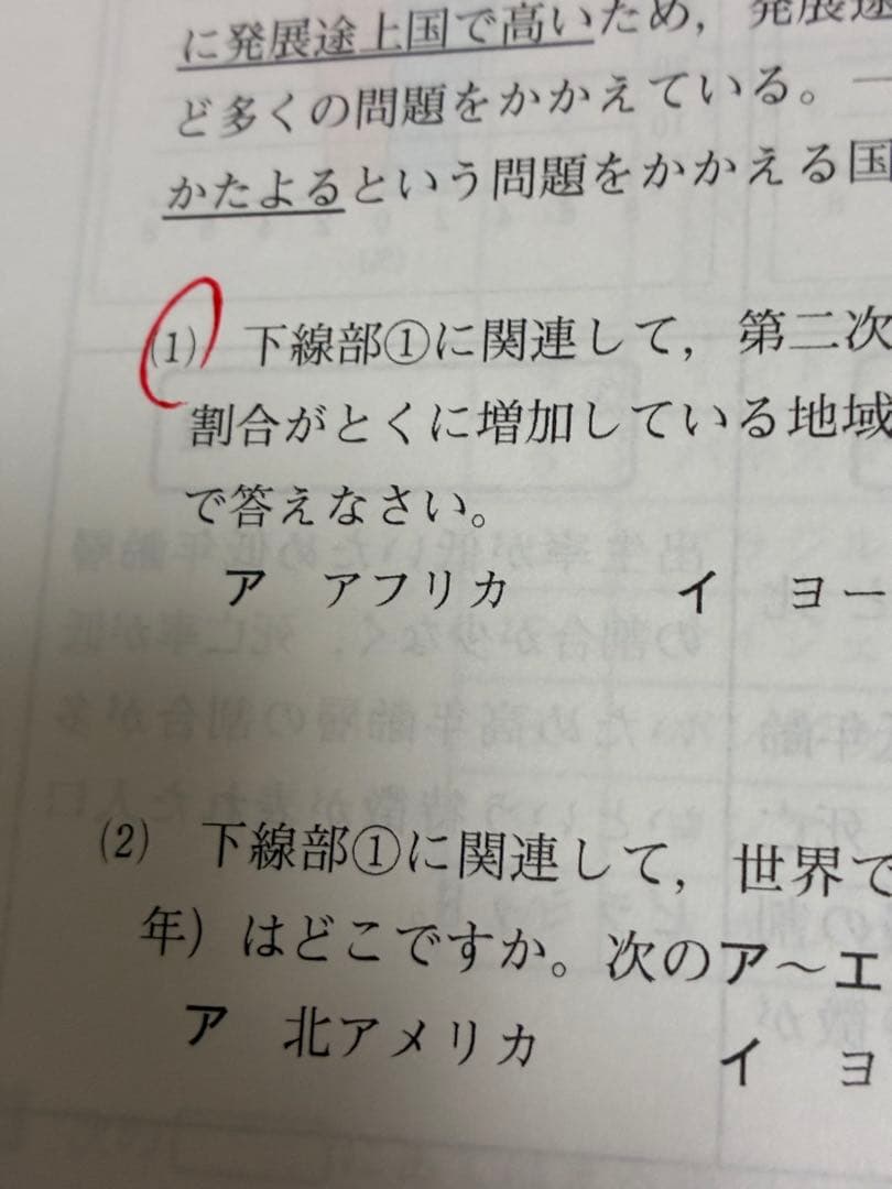 【美品】 Z会テキスト中2版(2023年)
