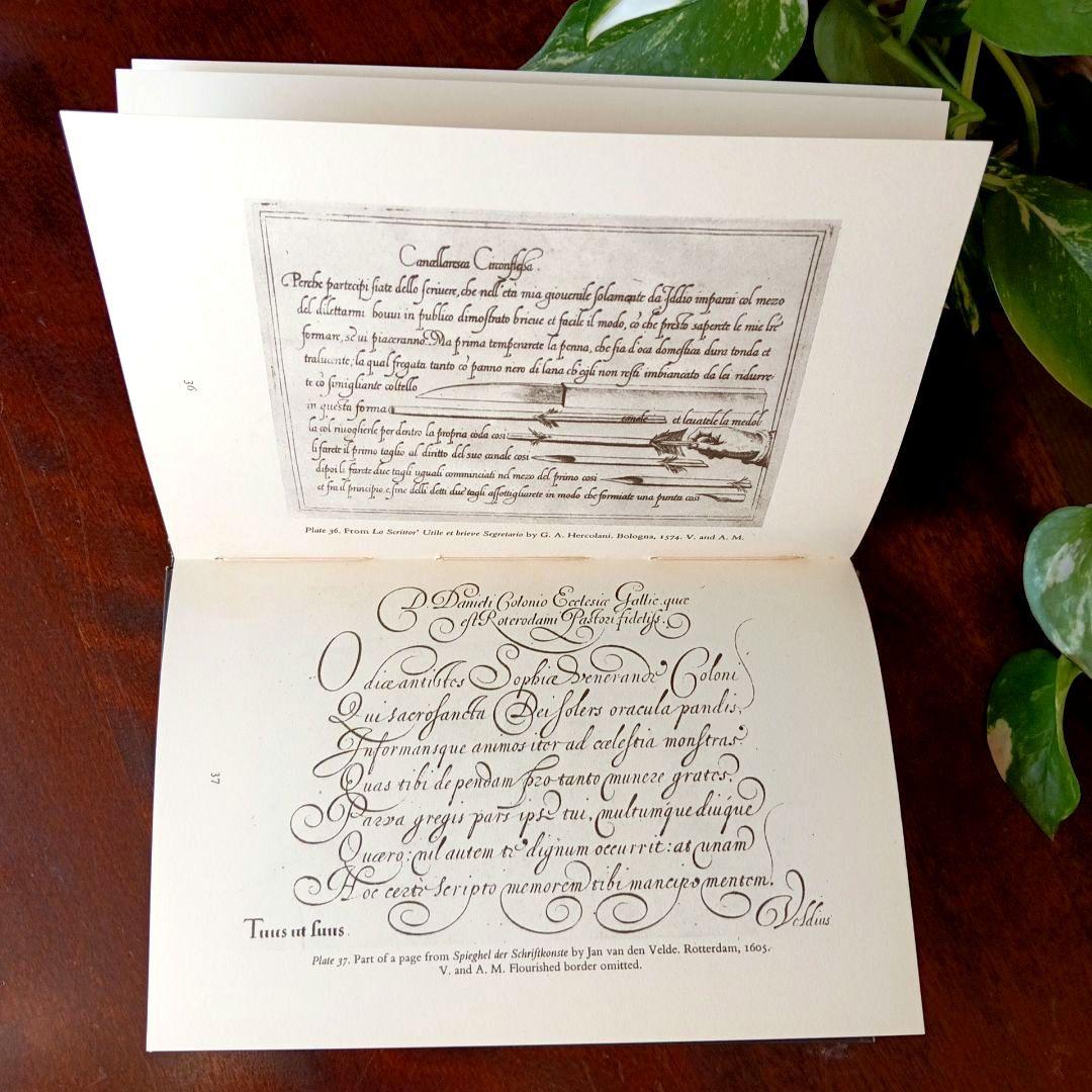 洋書古書1949年　ペンギン文庫　カリグラフィー美しい筆記体　ヴィンテージ　希少