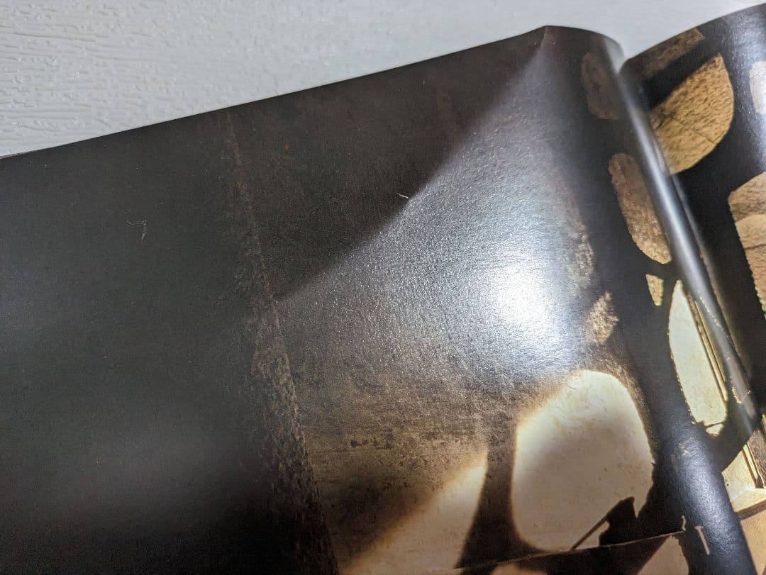 【ガウディ】建築写真集※ダメージあります