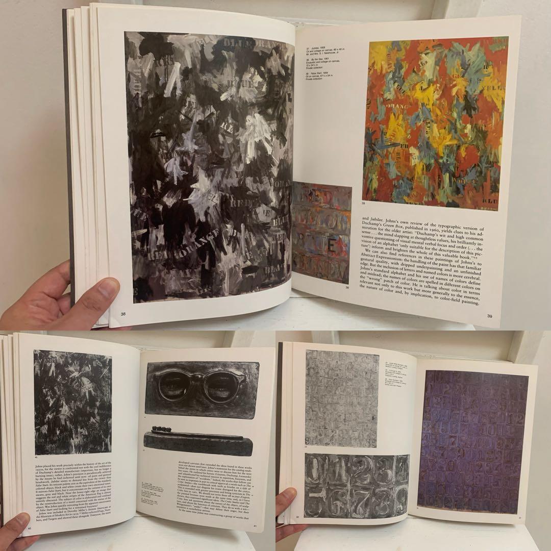 Jasper Johns ジャスパー・ジョーンズ1984年 初版 画集 BOOK